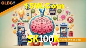 Experiência VIP SK100K